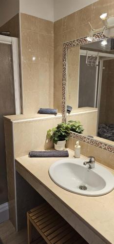 a bathroom with a sink and a mirror at Sunshine Beach Apartments in Adeje