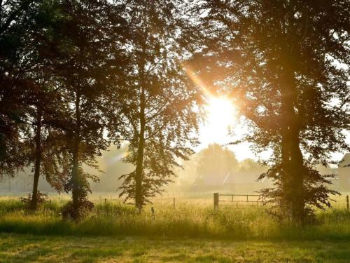 a sun shining through trees in a field with a fence at Chalet by Forest Edge with Modern Design in Markelo