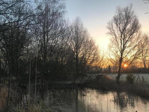 a sunset over a river with trees in the foreground at Chalet by Forest Edge with Modern Design in Markelo