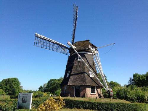 a windmill sitting on top of a field at Holiday Home in Elim near Slagharen Park in Elim