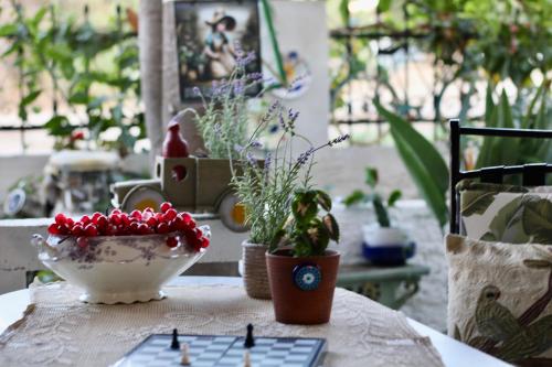Κήπος έξω από το Popis Maison