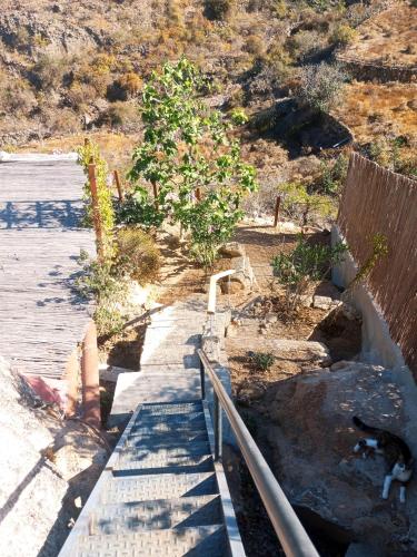 a view of a road with a fence and a tree at Eco-Finca Azuay - Cave refuge in Santa Cruz de Tenerife