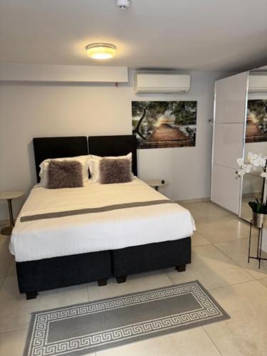 Studio Del Telegrafo