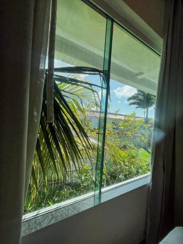 a window with a view of a palm tree at Hotel Paradiso del Sol in Cabo Frio