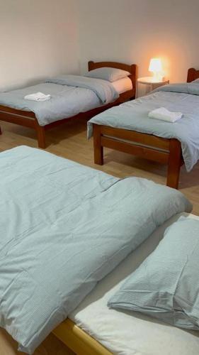 Aliyah Hostelにあるベッド