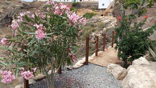 a garden with pink flowers and a fence at Eco-Finca Azuay - Cave refuge in Santa Cruz de Tenerife