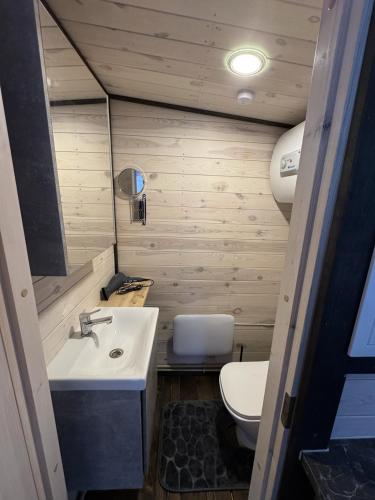 a small bathroom with a sink and a toilet at Melnā kalna kamene in Vestiena
