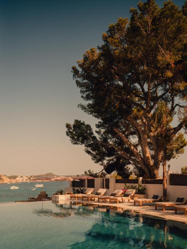 a swimming pool with lounge chairs and a tree at Aethos Mallorca in Paguera
