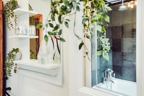 a bathroom with a mirror and plants on the wall at Cottage near Matlock Bath & Cromford in Middleton