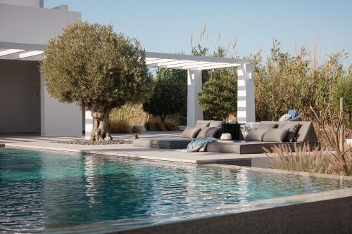 a pool in a backyard with lounge chairs and trees at Kuzulu Beach House, Your Private Paradise in Plaka, Naxos in Plaka