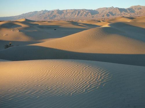 a desert with sand dunes and mountains in the background at Stovepipe Wells Village in Death Valley