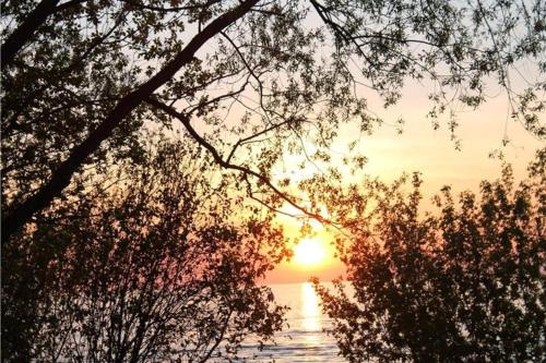 Φυσικό τοπίο κοντά σε αυτή η παραθεριστική κατοικία