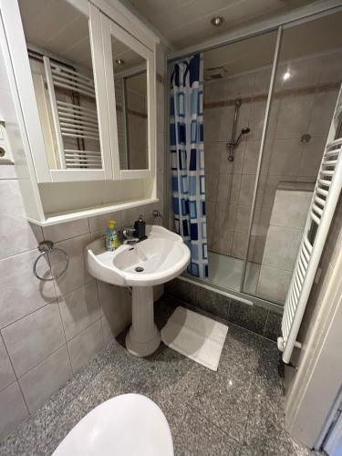 ハノーファーにあるHannover City Apartmentの洗面台、シャワー、トイレ付きのバスルーム