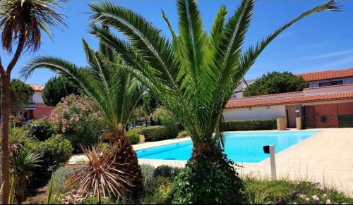 un palmier en face d'une piscine dans l'établissement Appartement lumineux avec piscine à St Estève, à Saint-Estève