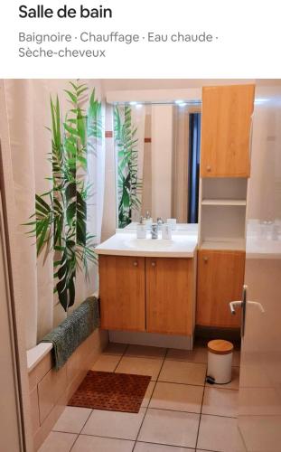 une salle de bain avec un lavabo et un miroir dans l'établissement Appartement lumineux avec piscine à St Estève, à Saint-Estève