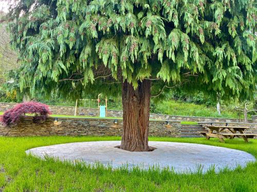 a large tree in the middle of a park at Fuentes del Narcea apartamentos rurales in Cangas del Narcea