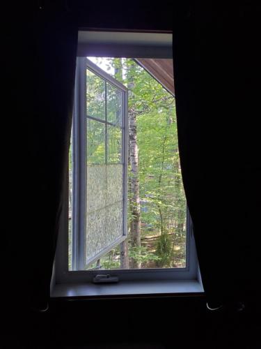 an open window with a view of a forest at Le Manoir aux Secrets in Rawdon