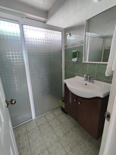 a bathroom with a sink and a shower at La colina in San Roque