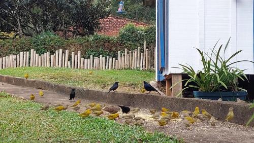 Jardin de l'établissement Casa Bela Vista São Bento do Sapucaí - Pedra do Baú