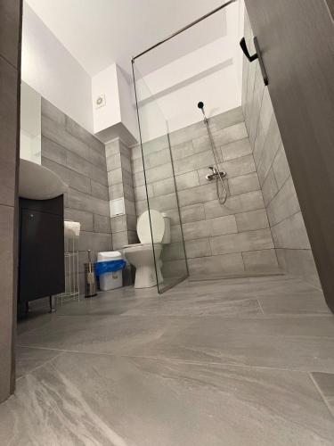 a bathroom with a shower and a toilet at Sunrise Boutique in Costinesti