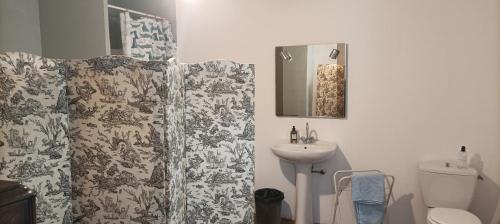 une salle de bain avec un rideau de douche et un lavabo dans l'établissement Maison Belle Croix, à Châtillon-Coligny