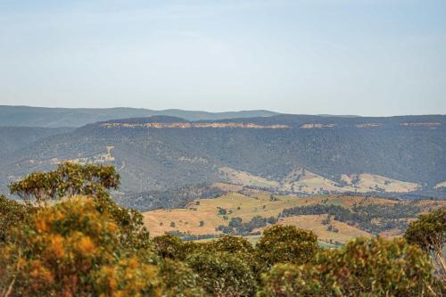 a view of a valley with trees and mountains at Highview Escape in Mount Victoria