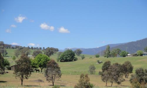a view of a field with trees and hills at Off Mountain Accommodation in Merrijig