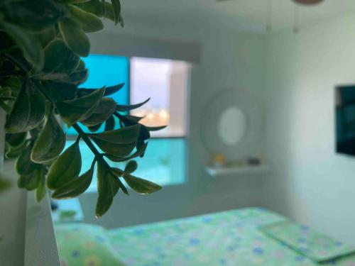 a plant in a room with a bed and a mirror at Departamento con piscina 8 in Salinas