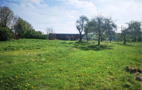 a field of green grass with trees and yellow flowers at Lovely Home In Berghem With Wifi in Berghem