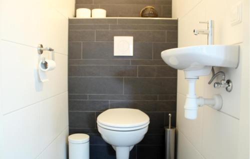 a bathroom with a toilet and a sink at Buitengoed Het Lageveld - 93 in Hoge-Hexel