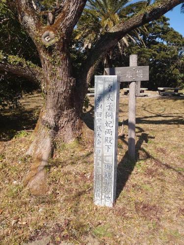 a sign next to a tree and a cross at オーシャン日南らくだの宿 in Nichinan