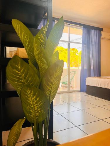 Ένα ή περισσότερα κρεβάτια σε δωμάτιο στο Casa Tacuba