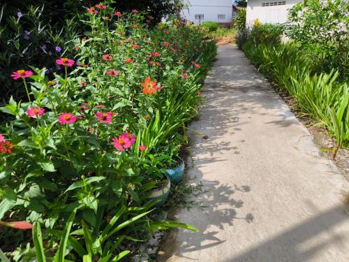 a garden with pink flowers next to a sidewalk at Dok Champa Resort in Vang Vieng