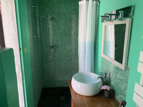 a green bathroom with a sink and a shower at Charmante maison au Croisic avec véranda et jardin pour 4 personnes, chiens acceptés - FR-1-843-20 in Le Croisic