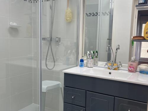 a bathroom with a sink and a shower at Maison de ville au Croisic avec WIFI et animaux admis - 4 personnes - FR-1-843-6 in Le Croisic