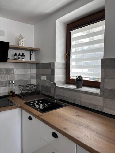 Cuina o zona de cuina de Apartments Pendik