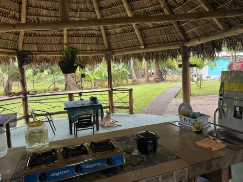 a kitchen with a stove and a view of a yard at Casa Nova at La Escapadita in Esterillos