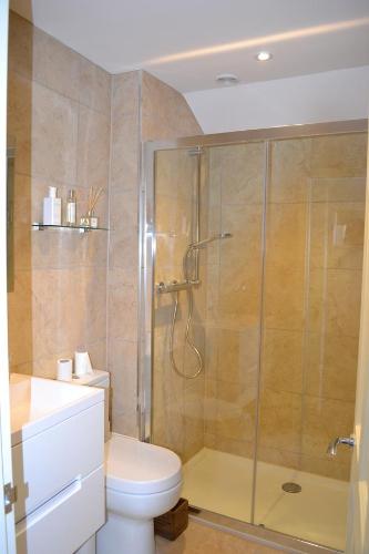 a bathroom with a shower and a toilet at Hedingham Old Pottery in Castle Hedingham