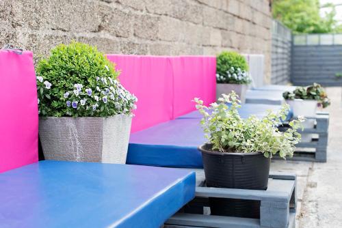 a blue table and chairs with potted plants on it at Hostel Azymut in Września