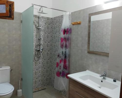a bathroom with a shower and a sink at Djerba rêve vacances Suite Noura in Midoun
