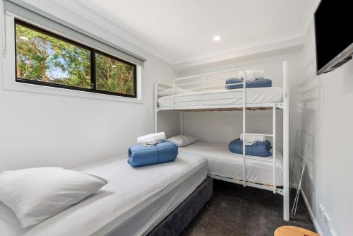a bedroom with two bunk beds and a window at BIG4 Yarra Valley Park Lane Holiday Park in Healesville