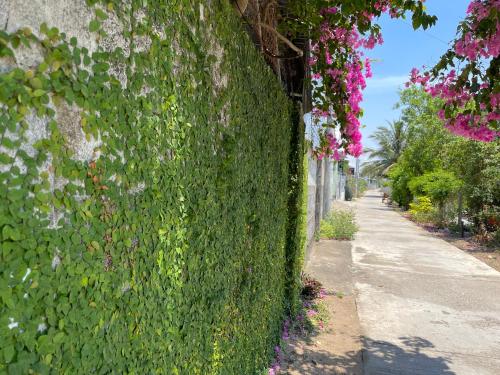 a ivy covered wall next to a street with flowers at Khu Nghỉ Dưỡng Thuần Chay MIND LINK 