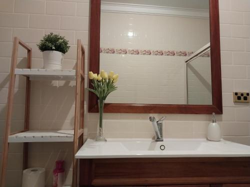 a bathroom sink with a mirror and a vase of flowers at Sweet Holiday Home by the Golf Course in Canberra