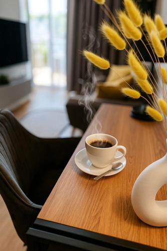 Smart Apart 62, City Center Kielce, main Square, FV, Targi, Sienkiewicza, Centrum