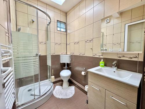 a bathroom with a toilet and a sink and a shower at Casa Verde in Orşova