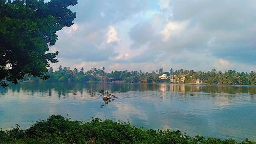 a duck is in the water on a lake at Madampa Ganga Villa. in Ambalangoda
