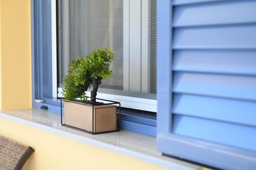 a potted plant sitting on a window sill at Julie's SeaView Apartment in Vlychádia