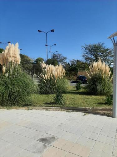 Foto dalla galleria di Hotel Ray a Sozopol