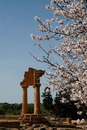 a stone monument with a tree in front of it at Casa di Luca in Agrigento