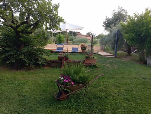 a garden with a wheelbarrow with flowers in it at Casa Vacanze Mongili - Il Moro in Chiusi